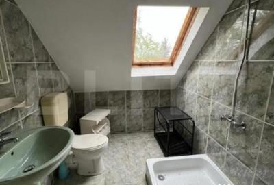 Casă cu 7 camere cu Teren 3000 Mp în Botizului - 7