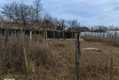 Teren de 1660 mp, în Letea Veche - 6