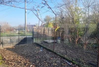 Pachet complet: casa + 800 mp Cocorastii Colt - 5