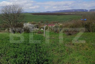 Teren de 1500 mp, în Central