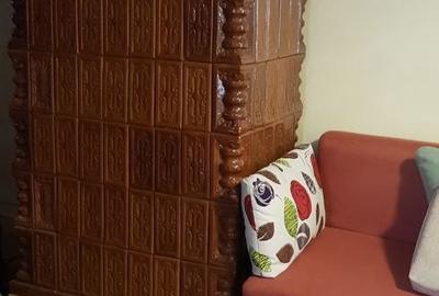 Casă cu 4 camere decomandat în Cantemir - 2
