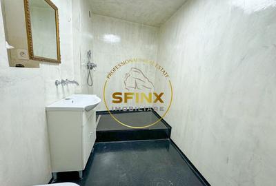 Birou, de 300 mp, în Dacia - 10