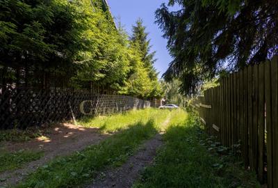 Casă individuală cu 4 camere cu Canalizare în Moieciu de Jos - 29