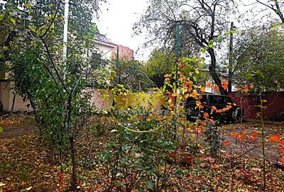 3 camere semidecomandate, Posta Vitan, gradina, curte comuna,loc parcare - 11