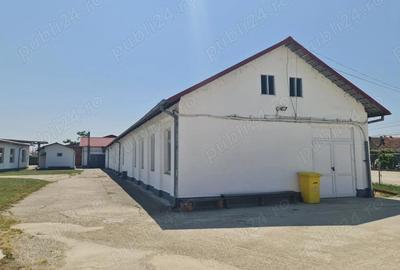 Spațiu comercial, de 1,059 mp, în Lugoj - 10