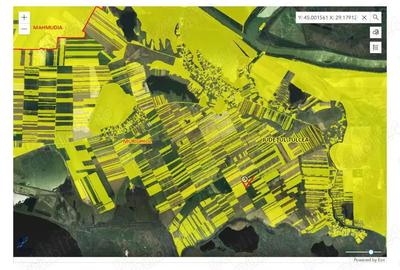 Teren de 23000 mp, în Dunavățu de Sus - 4