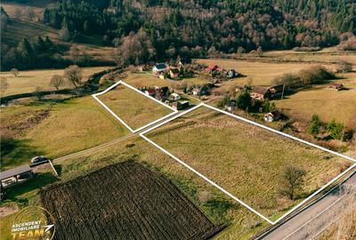 FILM! Teren cu potential, 6.700 mp, langa drumul principal, - 12