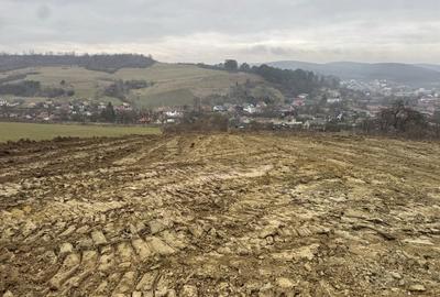 Teren de 1000 mp, în Livezeni - 7