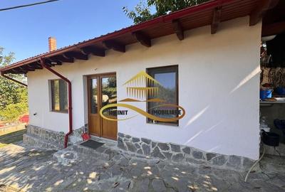 Casa si terasa de vanzare in Magura Bacau - 2