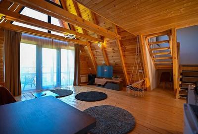 FILM! Ansamblu in circuit hotelier,5.700mp teren,Moieciu,constructie 2025 - 12