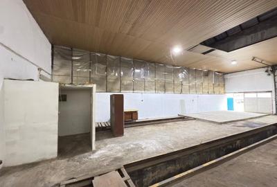 Hala 120 mp, inaltime 5m, parcare, Criseni - 5