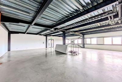 Spațiu comercial, de 2,888 mp, în Șagului - 8