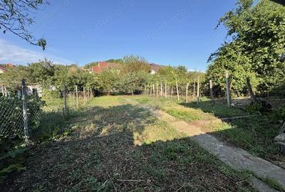 Casa 4 camere, 2 bai, curte 450mp, zona Baznei - 4