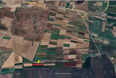 Proprietar vand teren agricol in Giroc langa padure si Manastirea Sag - 2