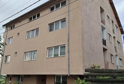 Garsonieră decomandată în Tilișca - 9