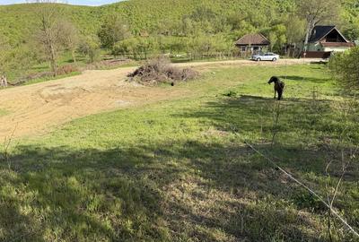 Spațiu comercial, în Făgetu - 2