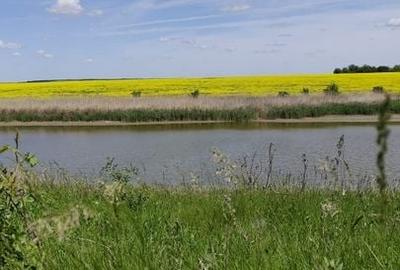 Teren Intravilan 450 mp cu Vedere la Lac - Frumusani
