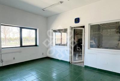 Hala industriala 900 mp de inchiriat pe Calea Clujului - 18