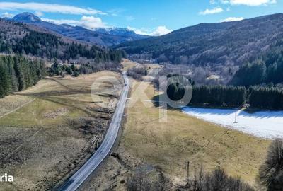 Teren de 19200 mp, în Brădet - 2