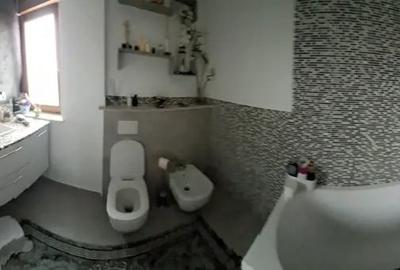 Vila de vanzare Lunca Calnicului - 7