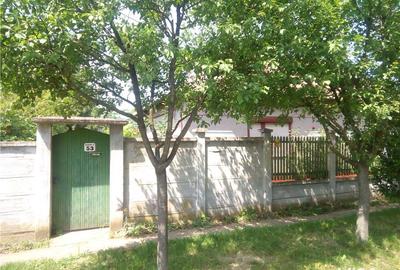 Casă cu 3 camere cu Teren 2538 Mp în Salonta - 1