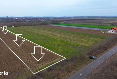 Teren de 4300 mp, în Odoreu - 4