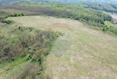 Teren de 659000 mp, în Copșa Mică - 3