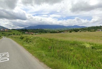 Superb Teren 10.000mp | deschidere 57ml | utilitati - 3