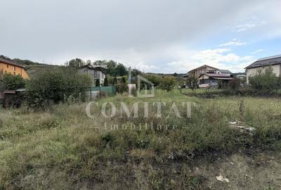 Casă individuală cu 699 teren la preț bun Chinteni - 3