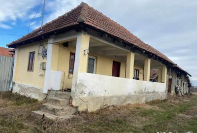 Casă cu 3 camere cu Teren 3300 Mp în Central - 6