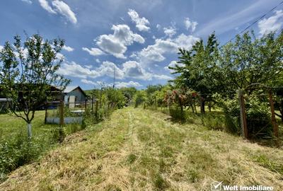 Teren agricol intravilan de 1051 mp, în Borhanci - 5