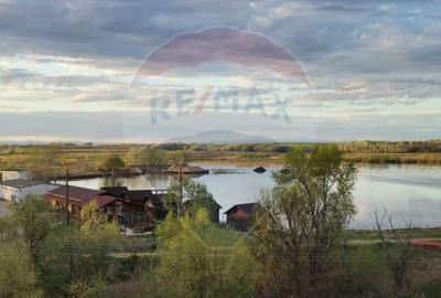 Ferma Piscicola si teren de 339ha Gruia / Drumul 56C