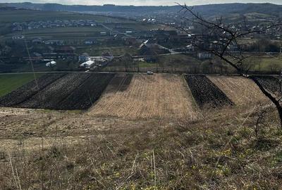 Teren de 9000 mp, în Baciu - 8
