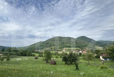 Teren de 4364 mp, în Central - 5