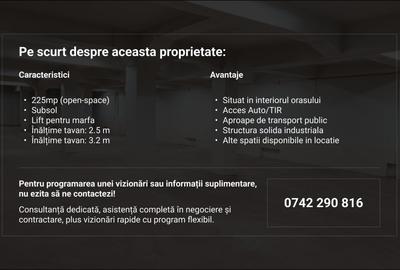 Spațiu industrial, de 225 mp, în Bucur Obor - 3