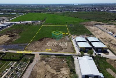 Teren Construcții intravilan de 18338 mp, în Cernica - 6