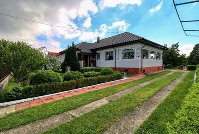 Oportunitate - Casă boierească  de poveste- 7000 mp teren, deschidere - 5