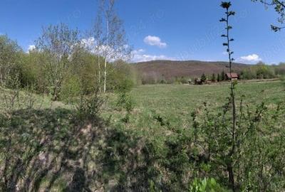Teren de 4000 mp, în Satu Mare - 6