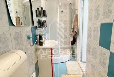Apartament cu 2 camere semidecomandat, mobilat în Iosefin - 6