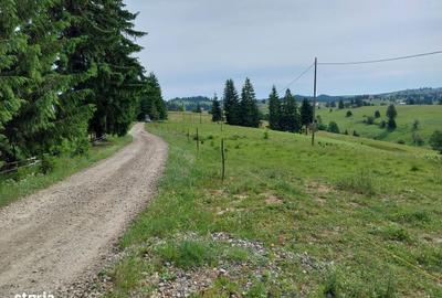 Teren de 10450 mp, în Tiha Bârgăului - 5