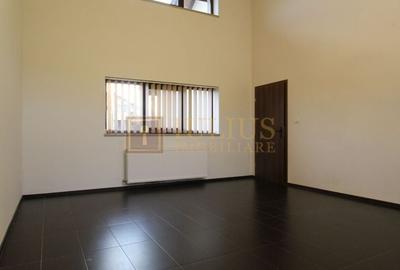 Cetatii; 5 camere, spatiu depozitare, garaj, curte, ideal pentru sediu firma. - 20