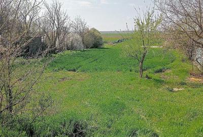 Teren de 6300 mp, în Vasile Alecsandri - 2
