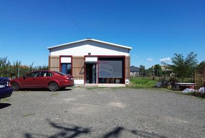 Spațiu comercial, de 147 mp, în Lăpuș - 18