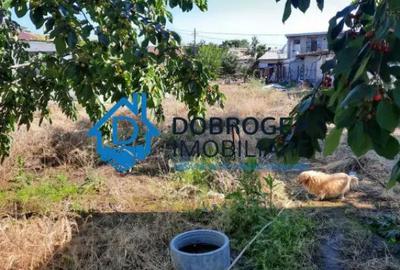 Teren de 1000 mp, în Păcii - 2