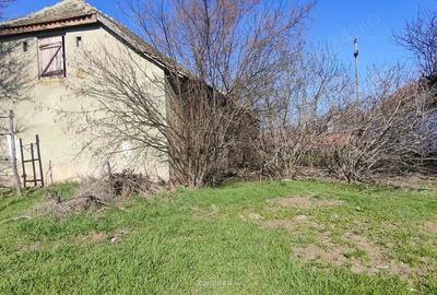 Teren de 1000 mp, în Pădureni - 3