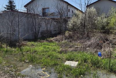 Spațiu comercial, în Mogoșoaia - 8