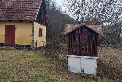 Casă cu Teren 6400 Mp în Petriș - 1