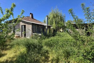 Casă cu 3 camere în Însurăței - 8