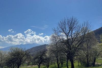 Teren de 3001 mp, în Bran - 8