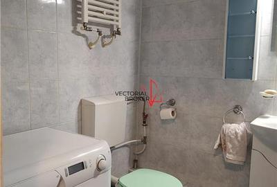 Garsonieră decomandată, mobilată în Dristor - 13